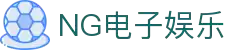 NG电子游戏·(中国区)官方网站